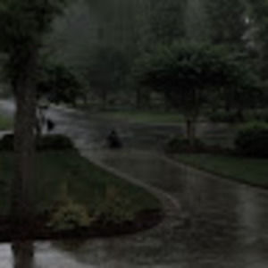 Meet your Posher, Josephine